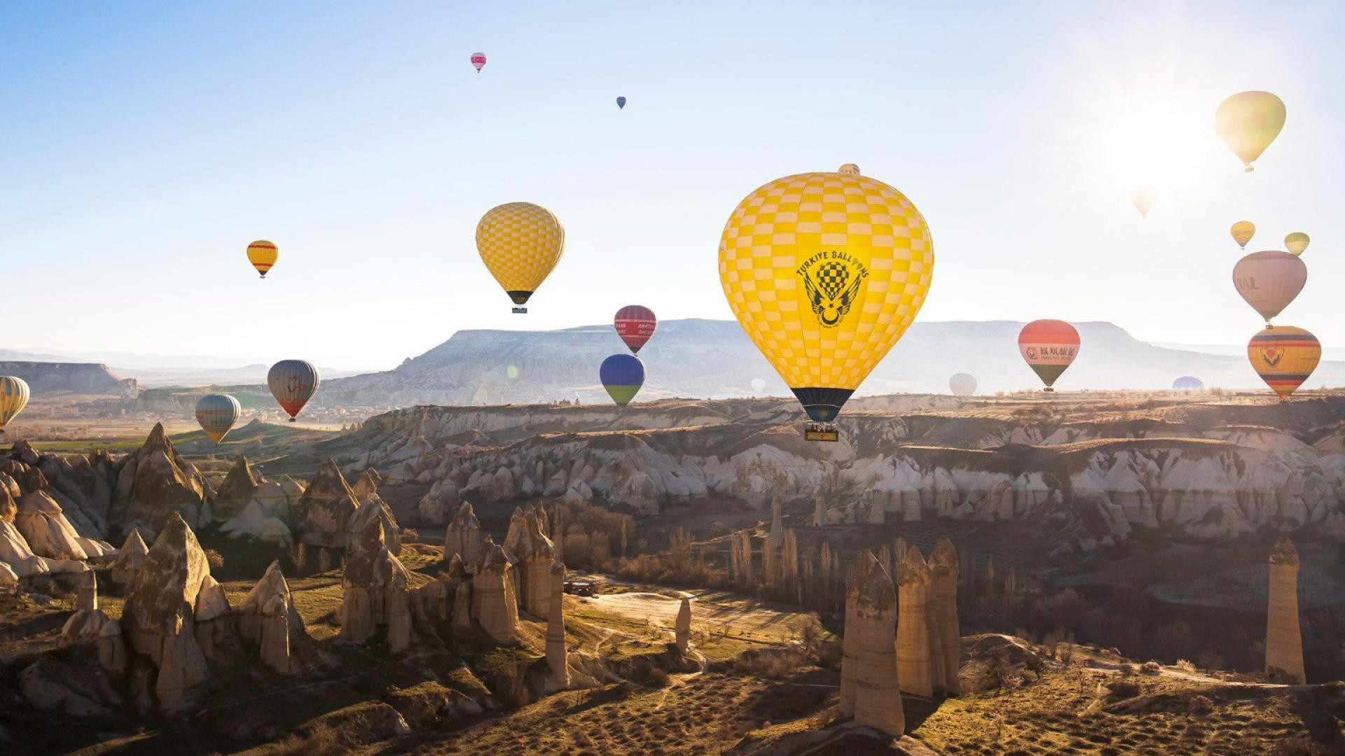 Turkey Balloons